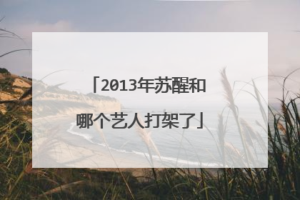 2013年苏醒和哪个艺人打架了