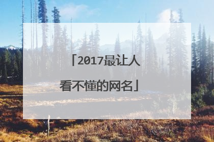 2017最让人看不懂的网名