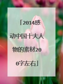 2014感动中国十大人物的素材200字左右