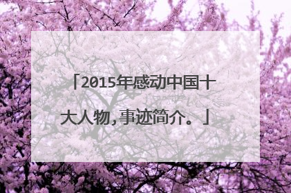 2015年感动中国十大人物,事迹简介。