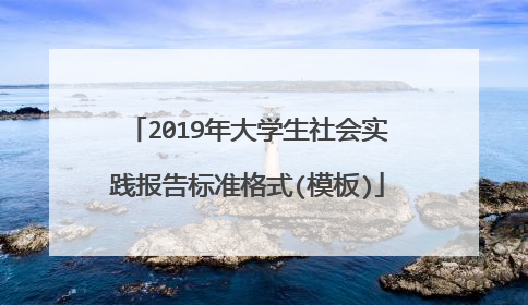 2019年大学生社会实践报告标准格式(模板)