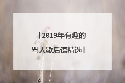 2019年有趣的骂人歇后语精选