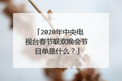 2020年中央电视台春节联欢晚会节目单是什么？