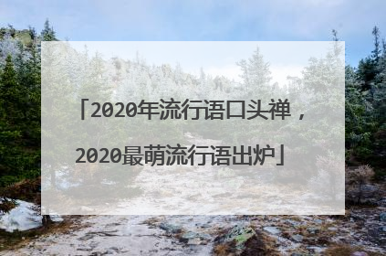 2020年流行语口头禅,2020最萌流行语出炉