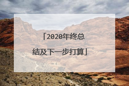 2020年终总结及下一步打算