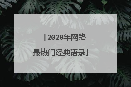 2020年网络最热门经典语录