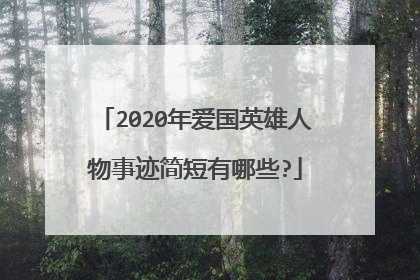 2020年爱国英雄人物事迹简短有哪些?