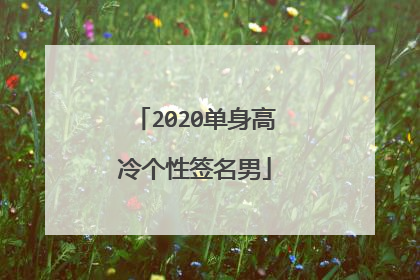 2020单身高冷个性签名男