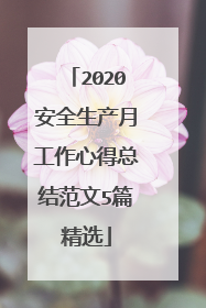 2020安全生产月工作心得总结范文5篇精选