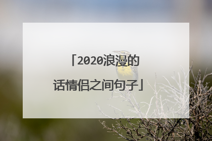 2020浪漫的话情侣之间句子