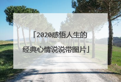 2020感悟人生的经典心情说说带图片