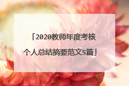 2020教师年度考核个人总结摘要范文5篇