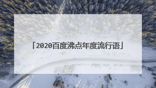 2020百度沸点年度流行语