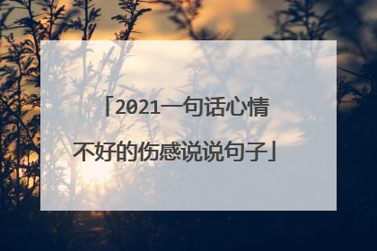 2021一句话心情不好的伤感说说句子