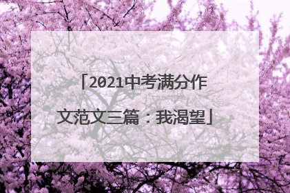 2021中考满分作文范文三篇：我渴望