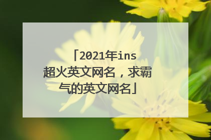 2021年ins超火英文网名,求霸气的英文网名