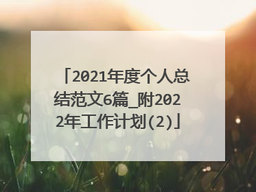 2021年度个人总结范文6篇_附2022年工作计划(2)