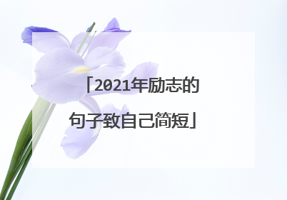 2021年励志的句子致自己简短
