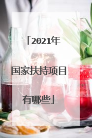 2021年国家扶持项目有哪些