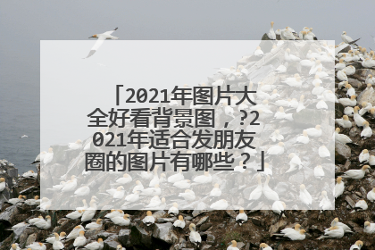 2021年图片大全好看背景图,?2021年适合发朋友圈的图片有哪些?