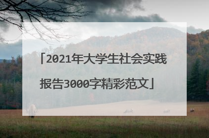 2021年大学生社会实践报告3000字精彩范文