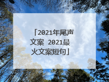 2021年尾声文案 2021最火文案短句