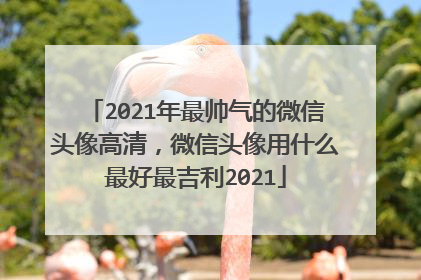 2021年最帅气的微信头像高清，微信头像用什么最好最吉利2021