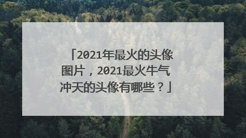 2021年最火的头像图片，2021最火牛气冲天的头像有哪些？