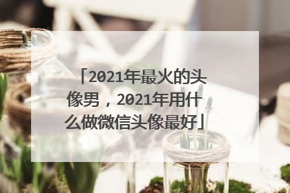 2021年最火的头像男，2021年用什么做微信头像最好