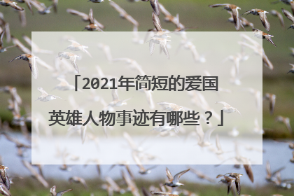 2021年简短的爱国英雄人物事迹有哪些？