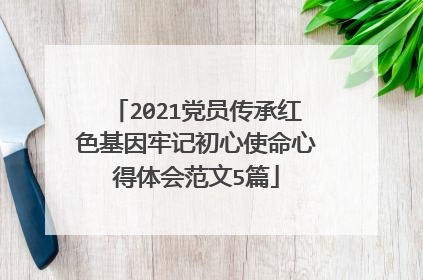 2021党员传承红色基因牢记初心使命心得体会范文5篇