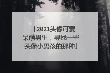 2021头像可爱呆萌男生，寻找一些头像小男孩的那种