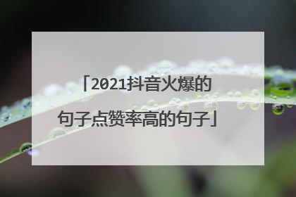2021抖音火爆的句子点赞率高的句子