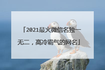 2021最火微信名独一无二，高冷霸气的网名