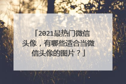 2021最热门微信头像，有哪些适合当微信头像的图片？