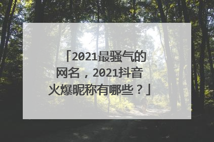 2021最骚气的网名，2021抖音火爆昵称有哪些？