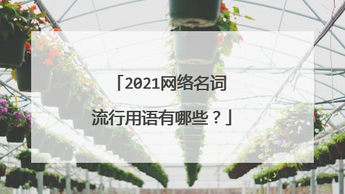 2021网络名词流行用语有哪些？