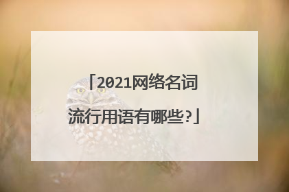 2021网络名词流行用语有哪些?