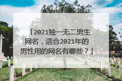 2021独一无二男生网名,适合2021年的男性用的网名有哪些?