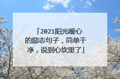 2021阳光暖心的励志句子，简单干净，说到心坎里了