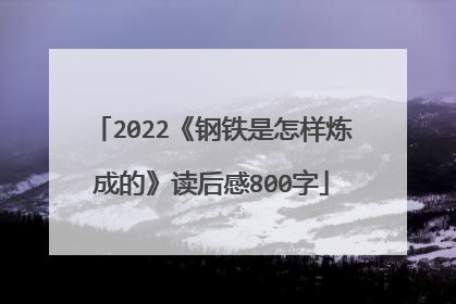 2022《钢铁是怎样炼成的》读后感800字