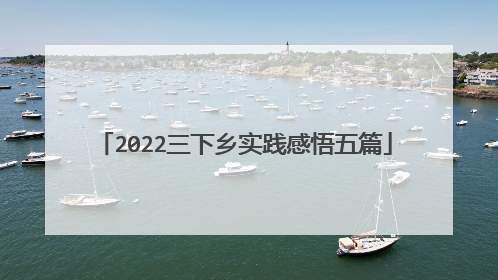 2022三下乡实践感悟五篇