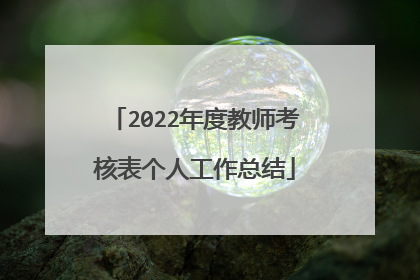 2022年度教师考核表个人工作总结