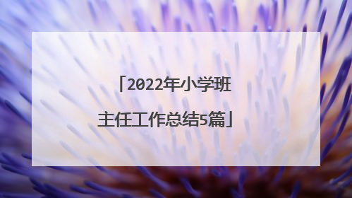 2022年小学班主任工作总结5篇