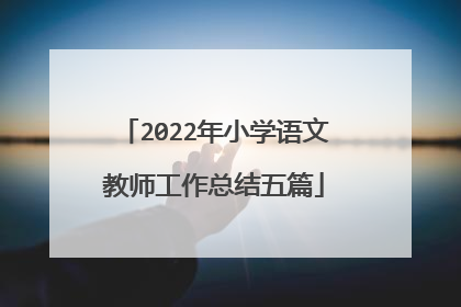 2022年小学语文教师工作总结五篇