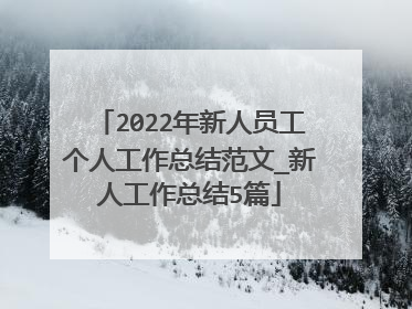 2022年新人员工个人工作总结范文_新人工作总结5篇