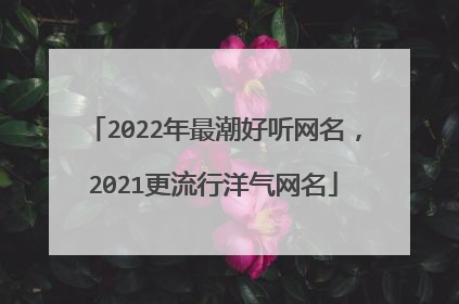 2022年最潮好听网名，2021更流行洋气网名