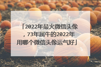 2022年最火微信头像，73年属牛的2022年用哪个微信头像运气好