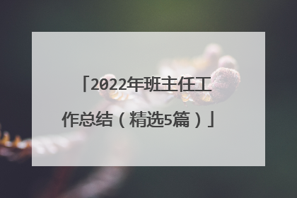 2022年班主任工作总结（精选5篇）