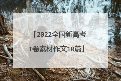 2022全国新高考I卷素材作文10篇